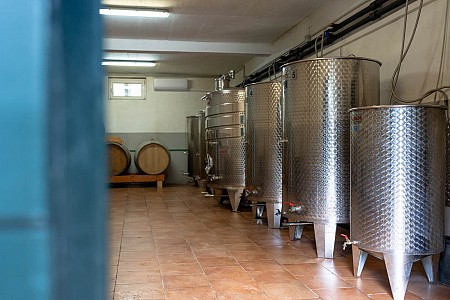 The century old cellar