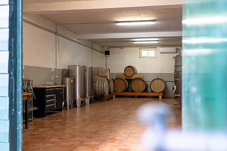 The century old cellar