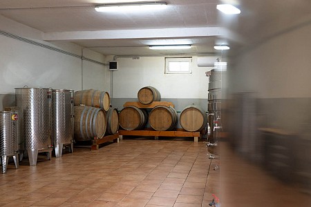 The century old cellar