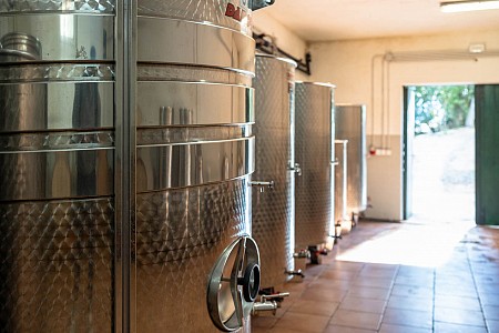 The century old cellar