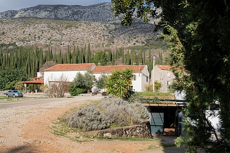 The century old cellar