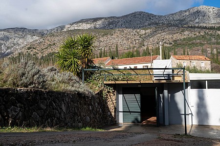 The century old cellar