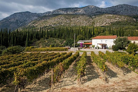 The century old cellar